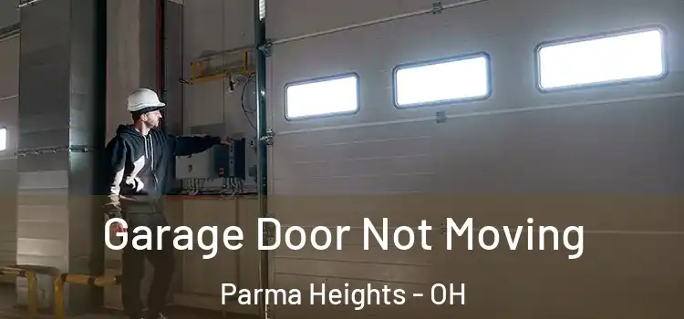  Garage Door Not Moving Parma Heights - OH