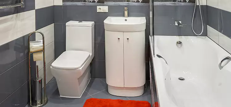 Hansgrohe Shaving Mirror Parma Heights